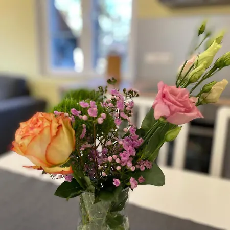 Lehdsche Heubuchten Appartement *