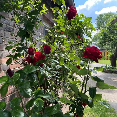 Lehdsche Heubuchten Люббенау