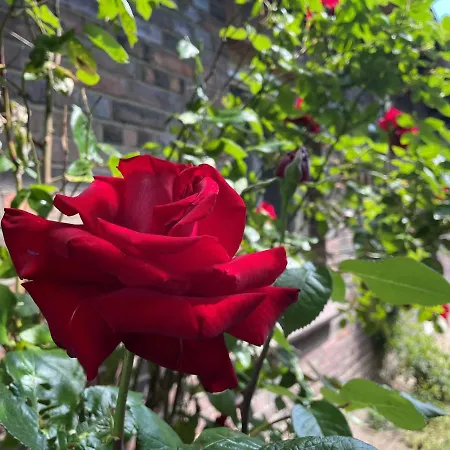 Lehdsche Heubuchten Апартаменты