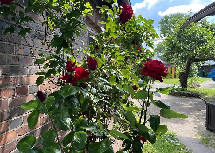 Lehdsche Heubuchten Lübbenau