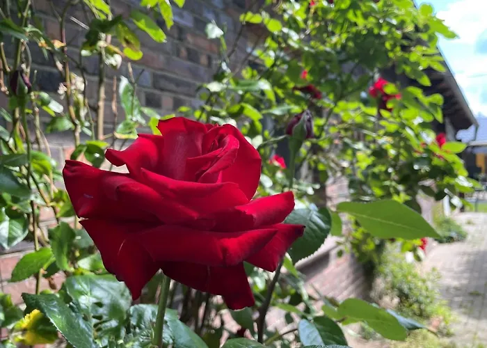 Lehdsche Heubuchten Lägenhet